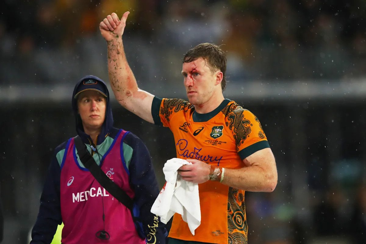 Carter Gordon added to Wallabies squad for Japan and Europe tests